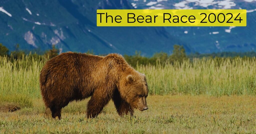 The Bear Race 20024